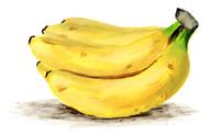 大蕉功效和香蕉是一样的作用吗（大蕉与香蕉功效哪个好）