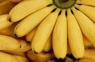 为什么吃香蕉会导致咳嗽（吃香蕉会加重咳嗽吗）