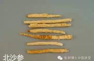 北沙参的作用与禁忌（北沙参有何副作用）