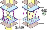 lcd显示器是液晶显示器吗（为啥没有lcd电脑显示器）