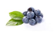 蓝莓和酸奶能一起吃吗（每天只吃蓝莓酸奶能瘦多少）