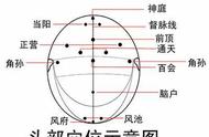 头疗的步骤图解（头疗的危害）