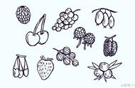 画水果100种（100个可爱水果画）