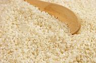 糯米与大米的营养成分（糯米与大米的营养区别）