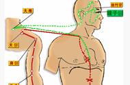 胸上六条经络位置图（胸部的6条经络布局图）