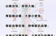 解剖学记忆口诀（解剖学记忆口诀pdf）