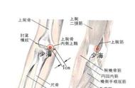 少海穴附近的穴位（少海穴位图及作用）