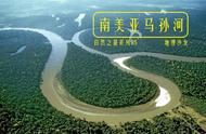 亚马逊河主要水系（亚马逊河七大支流）
