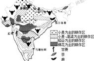 印度农业发展的优缺点（印度农业发展的有利条件有哪些）