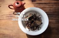 紫砂壶一般泡什么茶比较好（紫砂壶适合泡哪些茶）