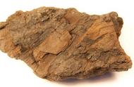 10斤的木化石价格表（不值钱的木化石图片）