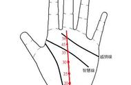 手纹代表的年龄（手纹的年龄划分图片）