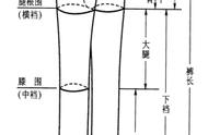 裤子如何区分前后（裤子如何辨别正反）