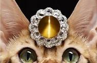 1200万的猫眼石（猫眼石什么颜色最值钱）