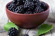 黑莓的正确吃法及功效（黑莓的正确吃法）