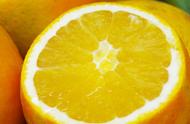 柳橙为什么叫柳橙（什么是柳橙图片）