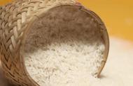 五常大米是转基因米吗（五常稻花香大米价格）