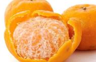 芦柑是什么性质的水果（芦柑是什么 和橘子有什么区别）