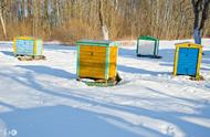数控养蜂技术（新型数控养蜂法）