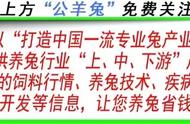 兔球虫病要持续抽搐多久（兔球虫病从发病到死亡）