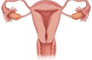 女性怎么保护卵巢健康呢（女性朋友应该如何正确保养卵巢呢）