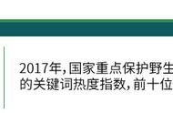 大熊猫是全国的保护动物吗（大熊猫是不是中国一级保护动物）