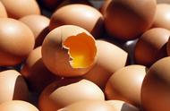 鸡蛋撞石头鸡蛋为什么会碎（鸡蛋与石头相碰为什么鸡蛋会破）