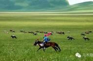 骑马的蒙古人怎样走路（蒙古人骑马霸气）