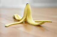 香蕉盆栽怎么修剪根系（香蕉叶修剪方法）