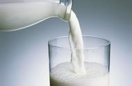 纯牛奶和高钙纯牛奶哪个好（高钙牛奶好还是纯牛奶好）