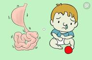 如何判断宝宝腹泻是怎么回事（怎么判断宝宝是哪种腹泻）