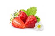 草莓适合放冰箱冷藏吗（草莓可以不放在冰箱冷藏吗）