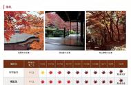 京都红叶时间（京都红叶最好的地方是哪里）