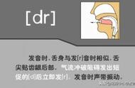 Dr英语音标怎么读（dr读什么音标）