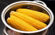 玉米的热量算玉米棒的重量吗（玉米热量计算是加上棒子吗）