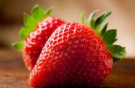 草莓种子种植方法全过程（草莓苗价格多少钱一棵）
