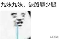 一句一伤歌词含义（一句一伤歌曲表达了什么情感）