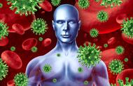 什么是免疫力和免疫系统（免疫系统和免疫力是一样的吗）