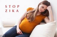 孕妇1-3个月忌口，孕妇几个月可以不用太忌口了