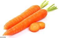 carrot单词怎么读（carrot英文怎么念）