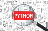 python是什么意思网络用语