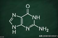 脲铵氮肥如何登记（脲铵氮肥和硫酸铵有什么区别）