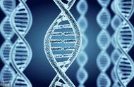 基因重组能产生新的等位基因吗（基因重组会引起基因数目变化吗）
