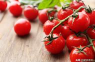 樱桃小番茄的种植过程（樱桃小番茄种子栽培方法）