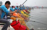 钓小鱼选什么鱼护最好（野钓没什么大鱼鱼护一般怎么选择）