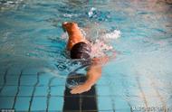 自由泳长距离如何抱水技巧（自由泳高肘抱水的方法）