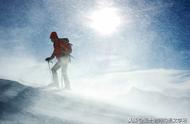 沁园春雪动静结合的句子赏析（沁园春雪最后一句赏析简短）