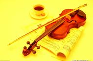 小提琴人工跳弓教学视频（小提琴跳弓的教学视频教程）