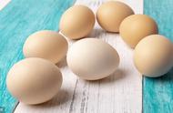 鸡蛋的卵包括哪几部分（鸡蛋卵有什么外部特点）