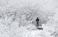 下雪唯美图片（下雪的照片真实图片唯美）